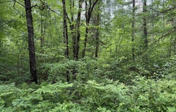 0000 Pokegama Dr, Minocqua, WI 54548