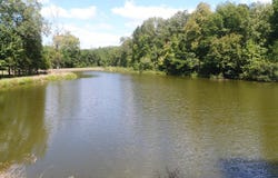 9705 Braggs Rd, Greenville, AL 36037