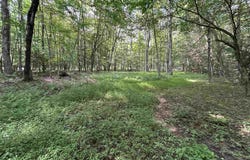 00 Bonner Mountain Road, Davis, WV 26260