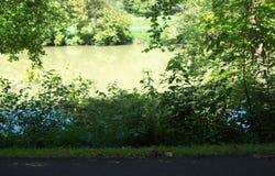 3388 Horton Ford Road, Eidson, TN 37731