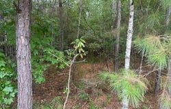 000 Edgewater, Eatonton, GA 31024