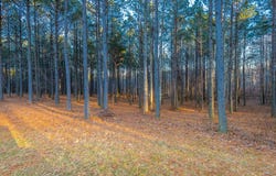 0 Compass Drive, Jasper, TN 37347