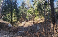 0 MEADOW Drive, Lake Arrowhead, CA 92352