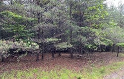 Highland Parkway unit: 23, Nebo, NC 28761