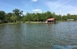 410 County Road 509, Cedar Bluff, AL 35959