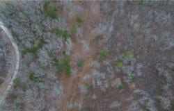 NC 2900, Marble Falls, AR 72648