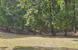 N Dogwood Place, Dix, IL 62830