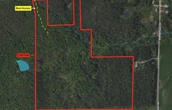 Allen Road, Sardinia, NY 14055
