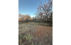 Thomas 80 Ranch, Bangs, TX 76823