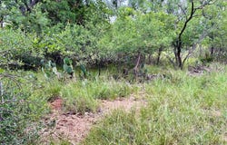 Lot 28 Jennifer Lane, Brownwood, TX 76801