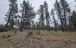 Elde Street, Chiloquin, OR 97624