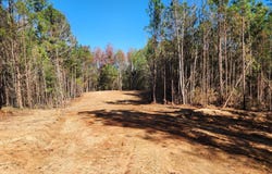 1 County Rd 51, Greensboro, AL 36744