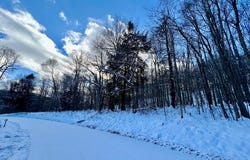 Brizzee Hollow, Genesee, PA 16923