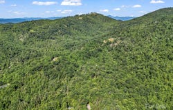 Climbing Road, Hendersonville, NC 28792