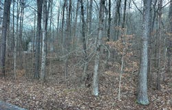 0 VALLEY Ln, Warrior, AL 35180