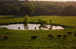 30497 Gypsum Rd, Lebanon, MO 65536