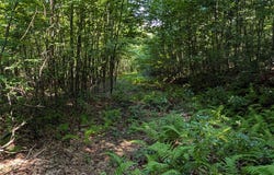 US Highway Route 6, Port Jervis, NY 12771