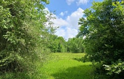 CAHILL DR., Angleton, TX 77515