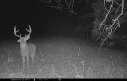 0 N 385 Rd, Stuart, OK 74570