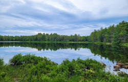 24 Holly Lane, Swanville, ME 04915
