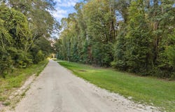 316 NE 746th St, Old Town, FL 32680