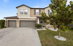 13549 WILLOW BLUESTAR Loop, RIVERVIEW, FL 33579