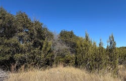 Tbd Sunfish Point, Bluff Dale, TX 76433