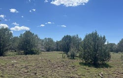 202 W Hillcrest Drive, Williams, AZ 86046