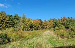 65 Clinton Drive, Factoryville, PA 18419