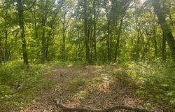 2-44 Wild Turkey Lane, Moravia, IA 52571