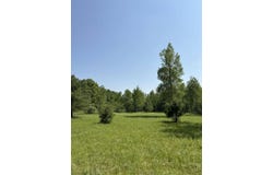 V/L 200th Avenue, Morley, MI 49336