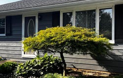 18396 Hall Drive, Mount Vernon, OH 43050