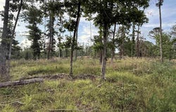 25A Kerley Point Road, Elizabeth, AR 72531