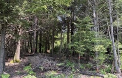 0 Kirkland Road, Old Town, ME 04468