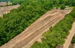 0 Rocky Creek Road, Ashford, AL 36312