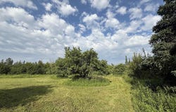 6219 N Rumley, Rumely, MI 49826