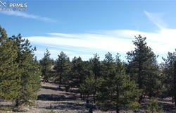 52 Bit Way, Hartsel, CO 80449