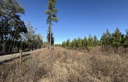 Tanner Road, Marianna, FL 32448