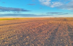 Road 14s, Bushnell, NE 39128