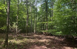 Mill Road, Little Mountain, SC 29075