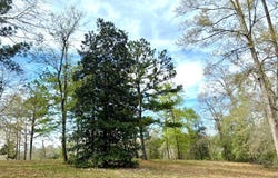 NHN Rue St Germaine, Carriere, MS 39426