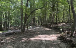 Lasher Road, Dryden, MI 48428