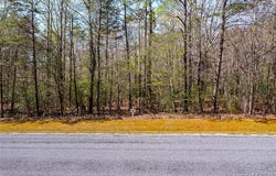 Steamboat Lane lot: 18, Heathsville, VA 22473