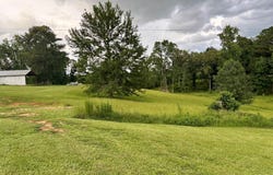 305 Robert Tynes Rd., Monticello, MS 39654