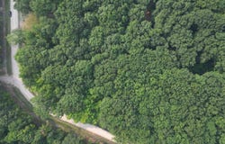 Parcel E W Big Sky Trail, Maple City, MI 49664