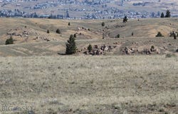 Butte, MT 59701