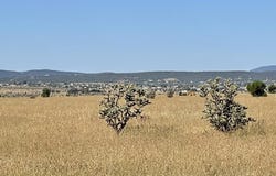 136 Moseley Road, Edgewood, NM 87015