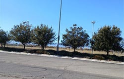 7775 Maple Avenue, Hesperia, CA 92344