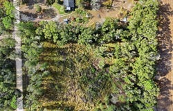 SE 80TH Place, TRENTON, FL 32693