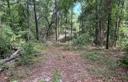 0000 St. Mary's River Bluff, LTD, Saint George, GA 31562